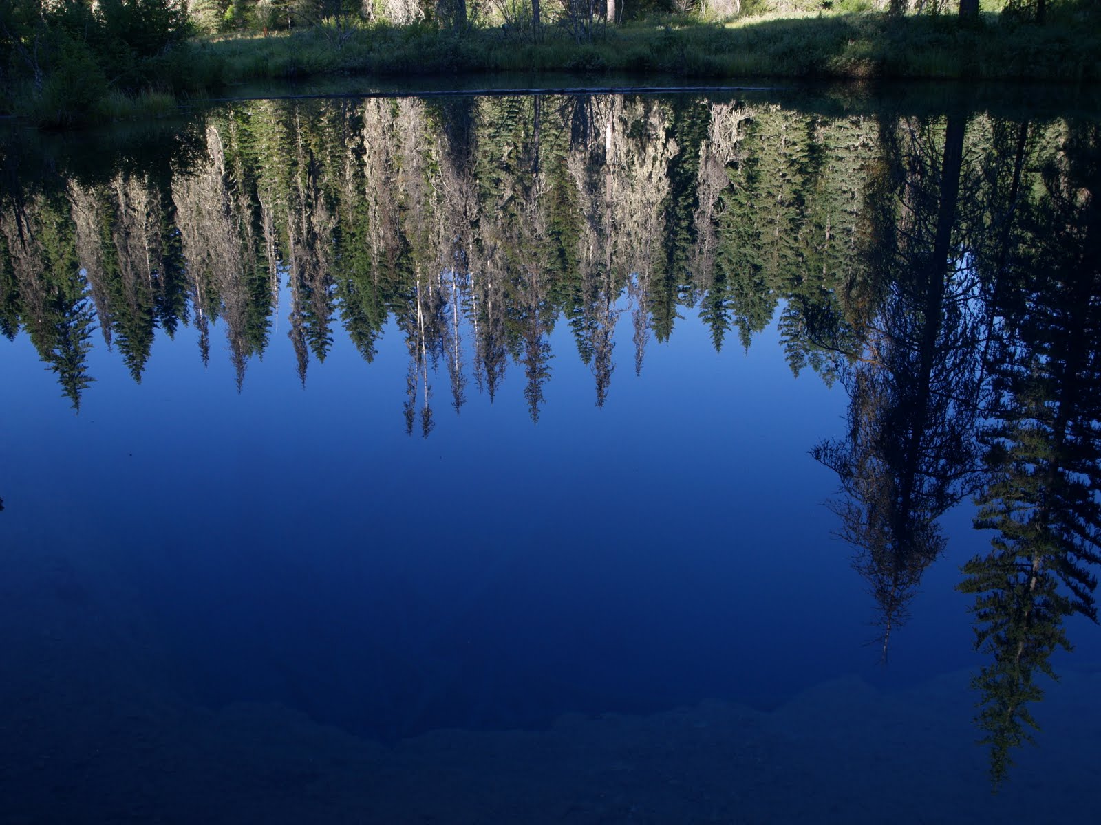 PCT Southbound 2010 August 3rd Seeping Spring to Jude Lake