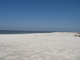 Dauphin Island beach