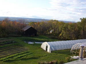 Small field and greenhouses