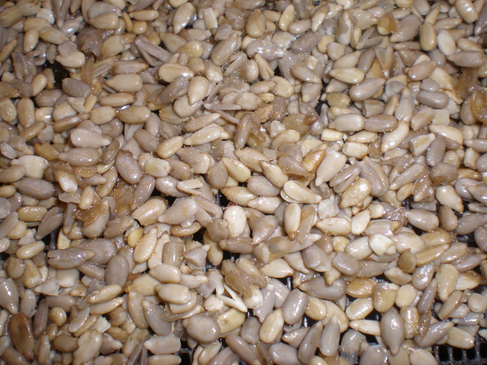 Healthy Kids Diet & Recipes Dehydrator Snacks Crunchy Flavored raw