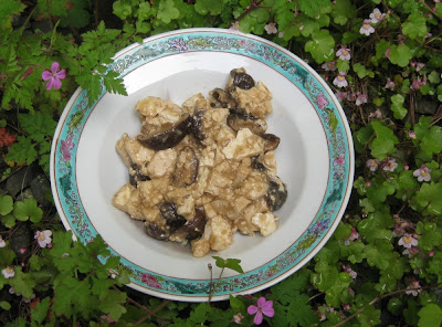 Geschmorter Tofu mit Shiitake-Pilzen Geschmorter Tofu mit Shiitake-Pilzen