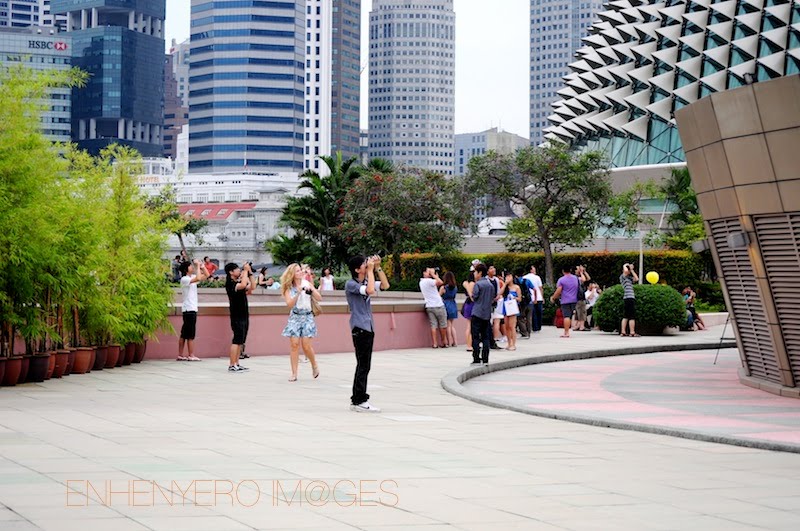 braggies Esplanade Roof Garden