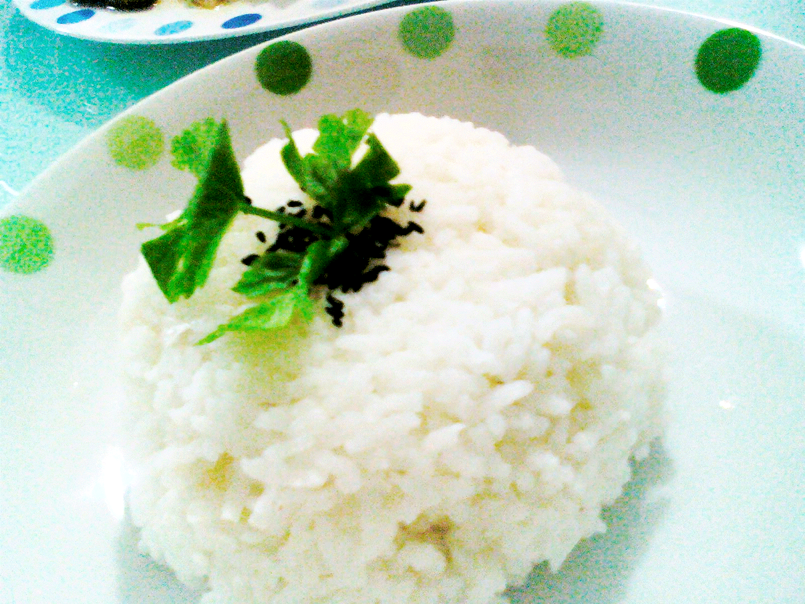 ♥a peep in my pot♥ Garnishing Plain White Rice
