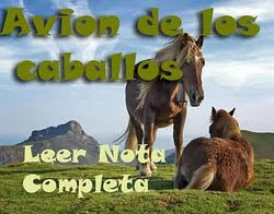 Avion de los Caballos - Nota Completa -