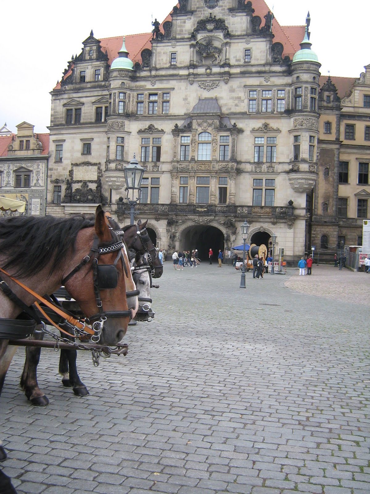 [IMG_0111.JPG]