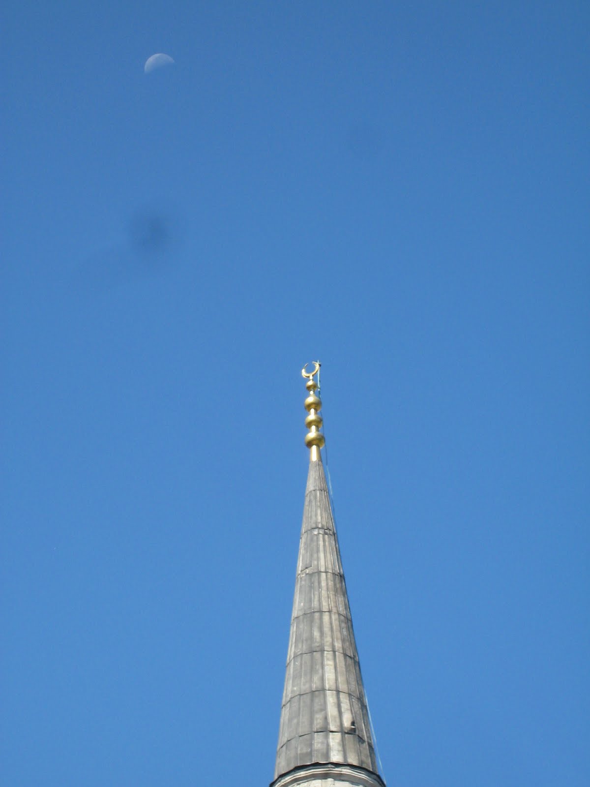 [IMG_0381.JPG]