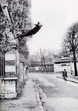 LE SAUT DANS LE VIDE (1960) Yves Klein