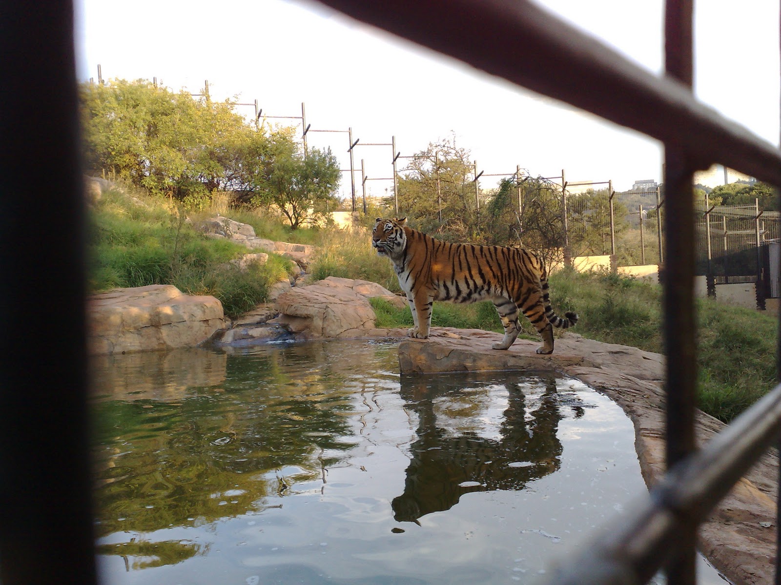 Plebs with Kids Johannesburg Zoo, Parkview (JHB)