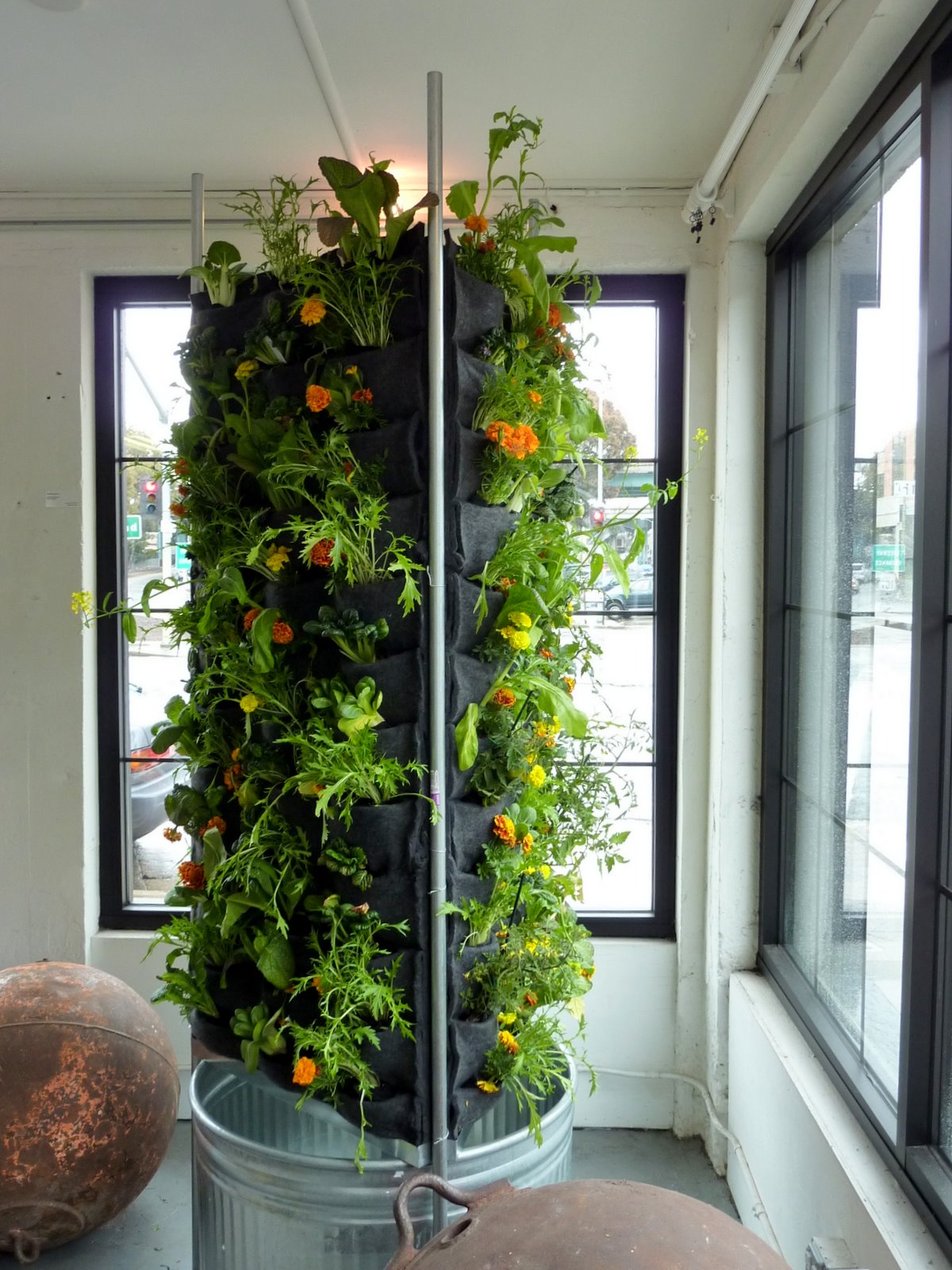 ... On Walls vertical garden systems: Aquaponic Vertical Vegetable Garden