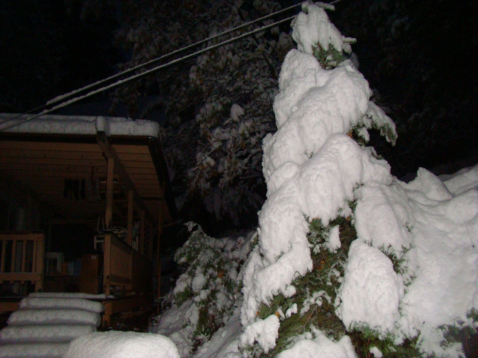 Mi Wuk Area Homeowners Association News & Updates THE FIRST REAL SNOW OF THE SEASON IS HERE!