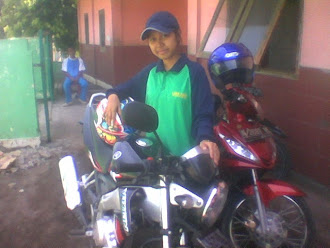 Brama motor