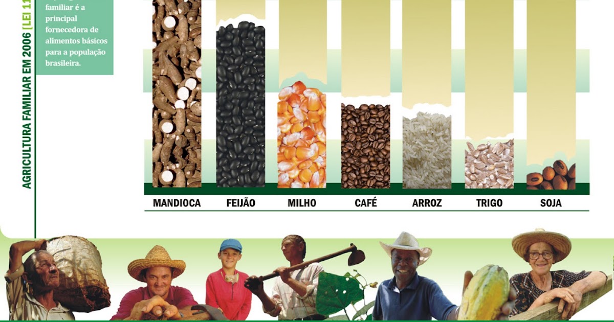 Aponte Dois Exemplos Da Importância Da Agricultura Para O Brasil.