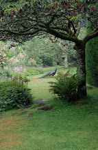 Fairytale garden