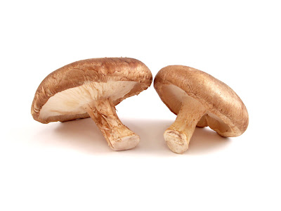 Edible Mushrooms Health Poisonous