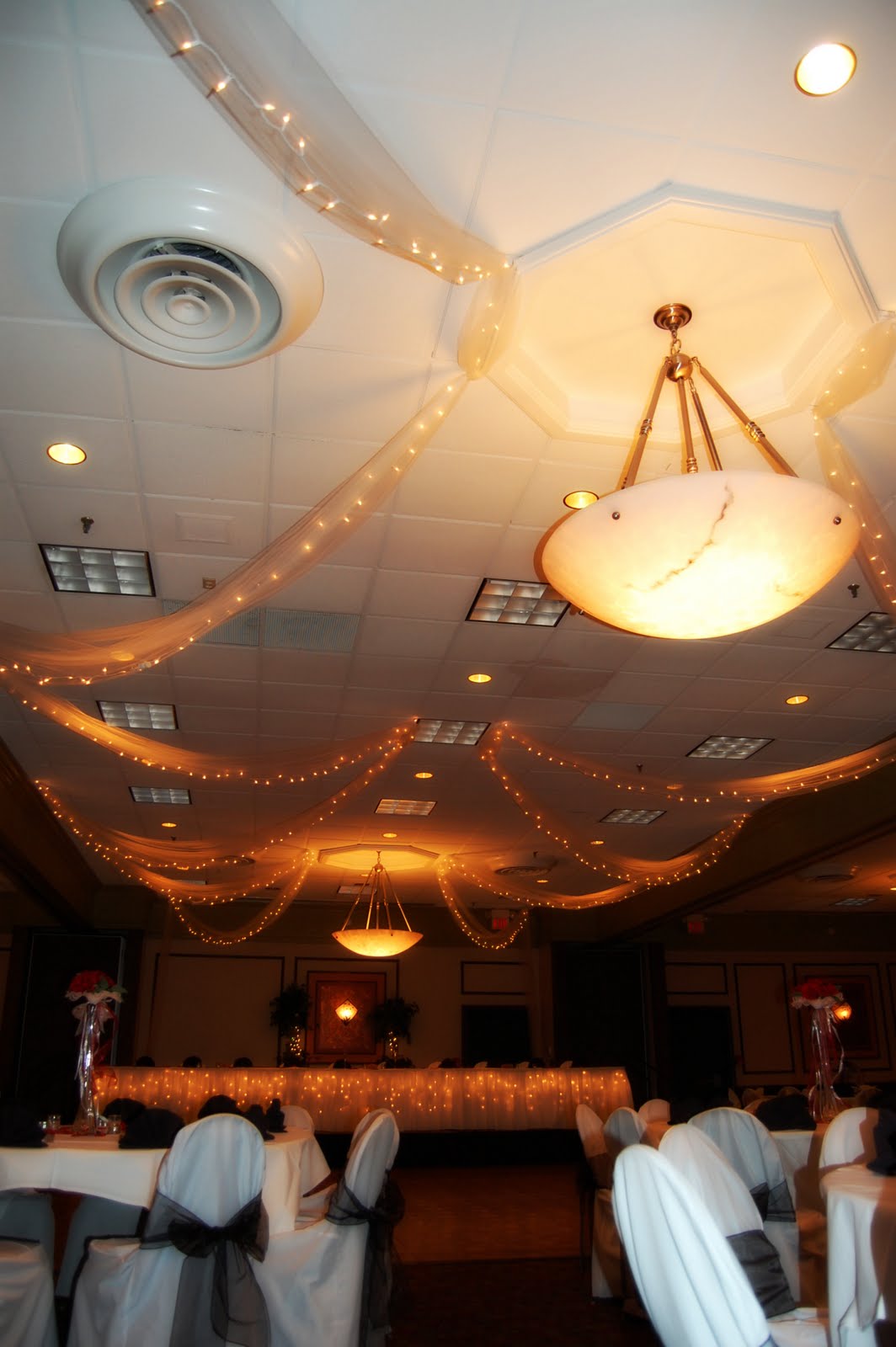 . Ceiling Decor Toledo Wedding Planner Perrysburg Wedding Planner