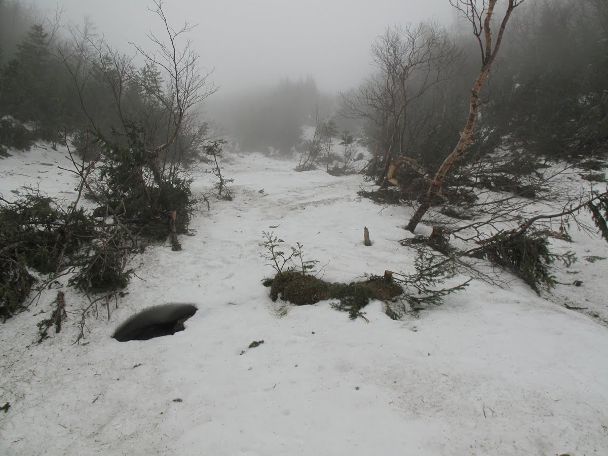 White Mountain Sojourn: 5-14-10 Avalanche Track in Ammonoosuc Ravine