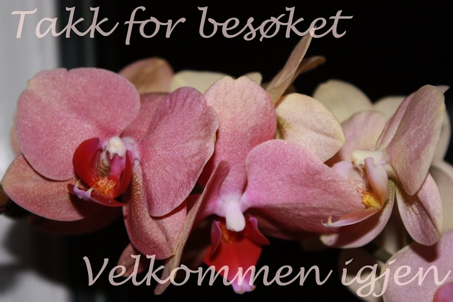 Bluggi Buggi Blogg