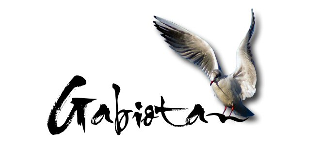 Gabiota