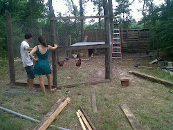 chicken building coops goat pen coop hammond farm