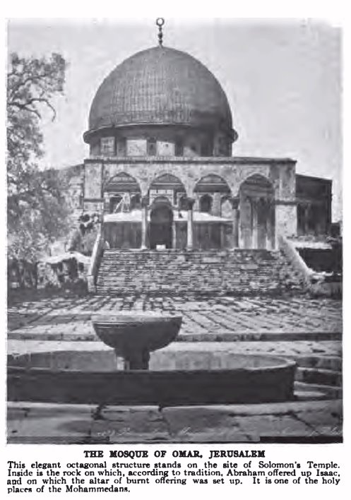 [domerockweeds2.jpg]