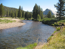 Tuolumne River thru the Meadow.