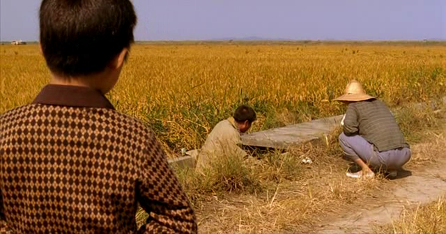 The Truth Behind Up in the Air You Thought Was Just a Dream