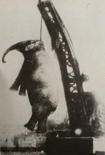 Big Mary hanged in Erwin TN, from www.justsickshit.com