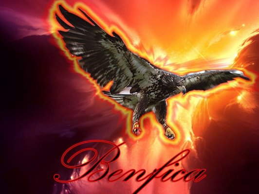 [aguia.bmp]