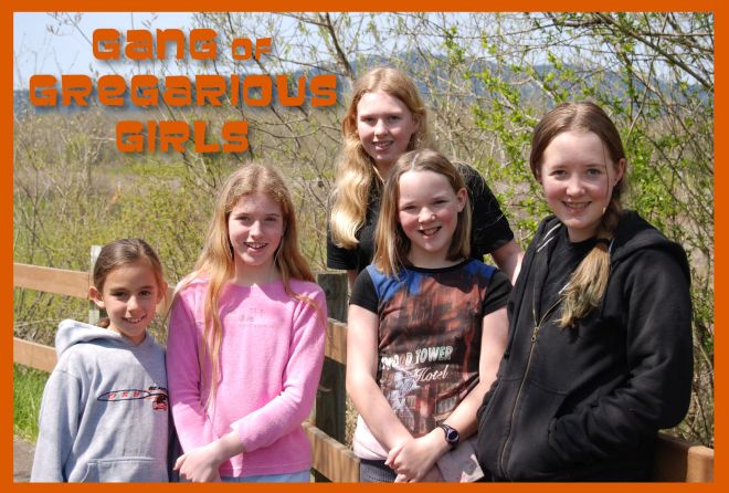 Gang of Gregarious Girls