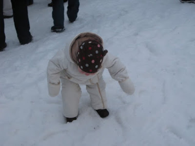 j inspecting the snow