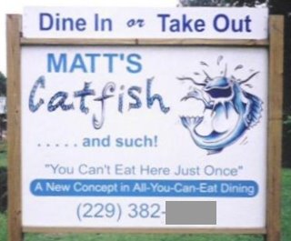 [mattscatfishandsuch.com.jpg]