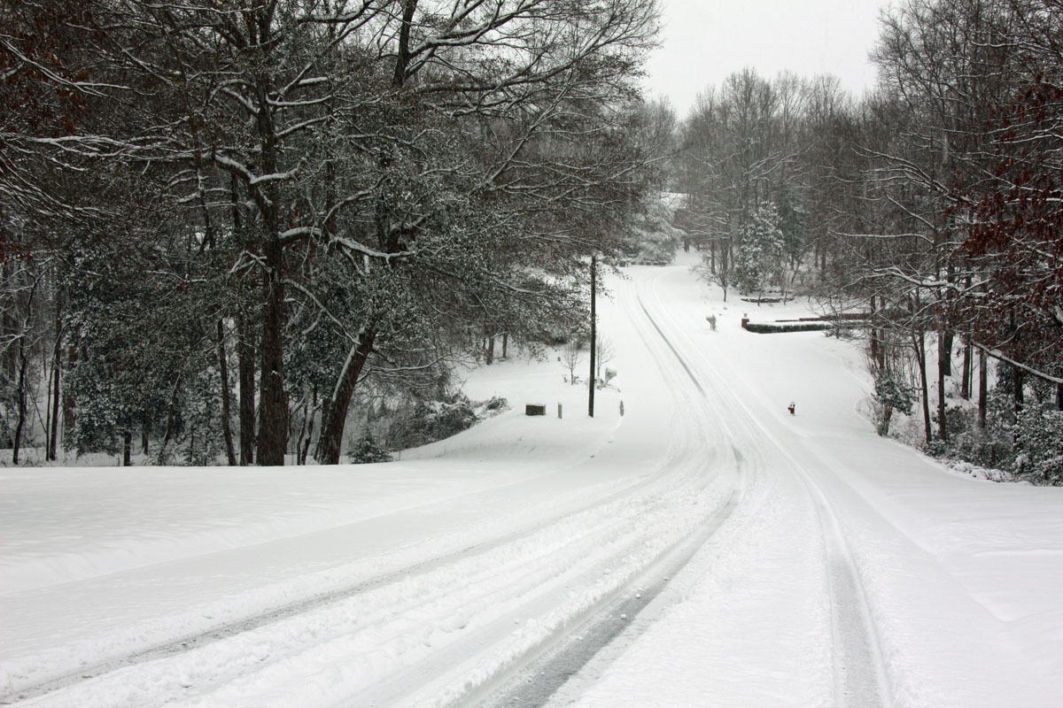 The Adventures of Bushwhack Jack South Carolina Snow
