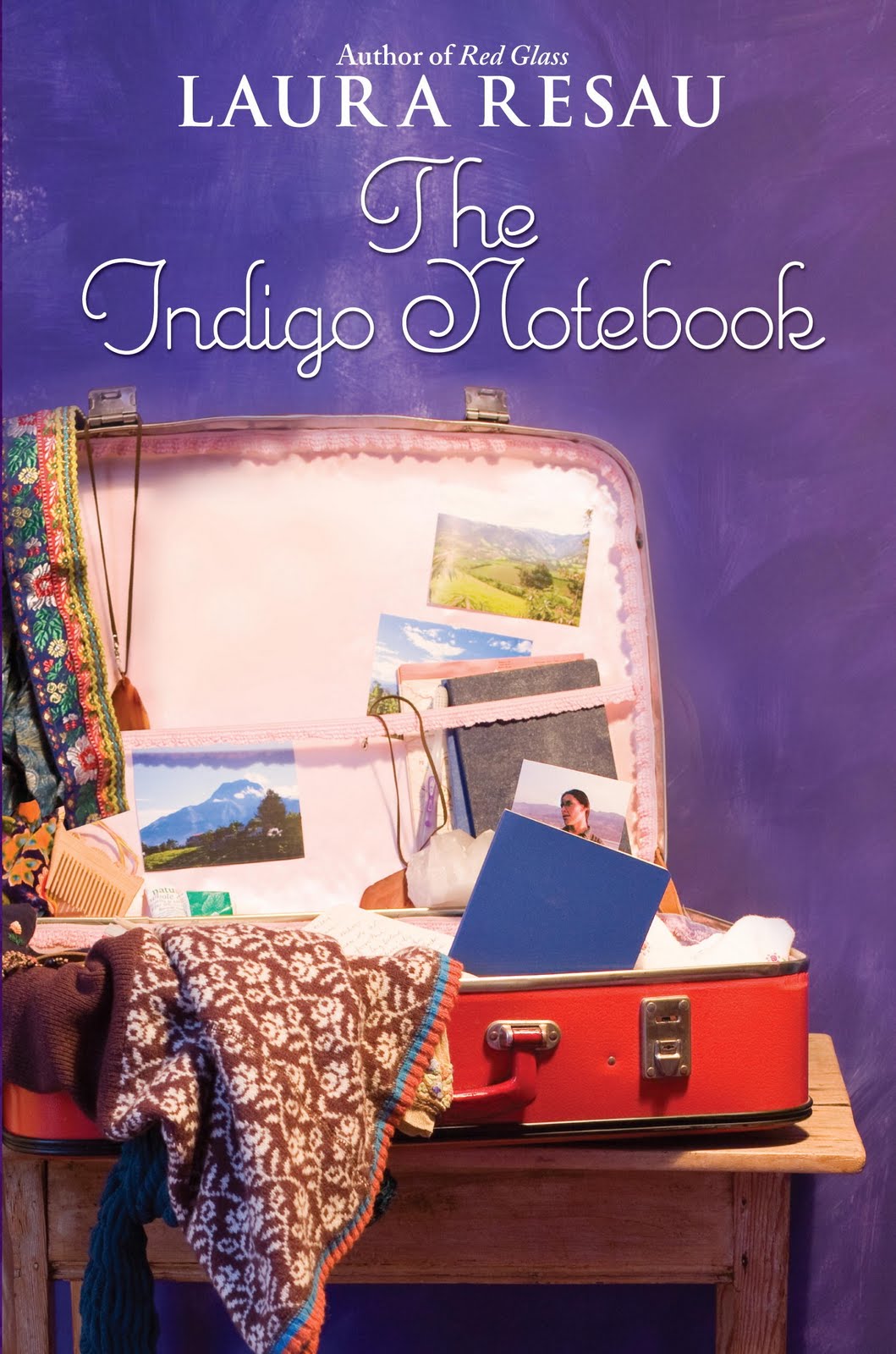[Indigo_Cover_High_Res.JPG]