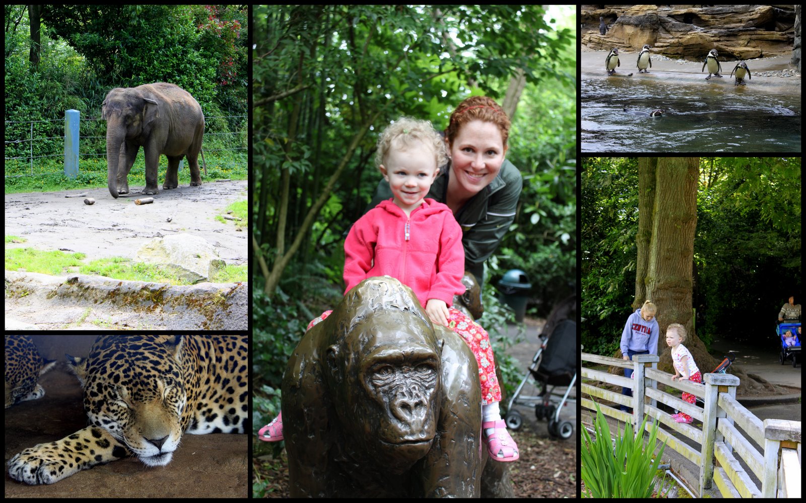 Woodland Park Zoo Seattle