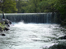 NID's Gold Hill Diversion Dam is the Largest Barrier on the Auburn Ravine, Which Has Eleven Others!