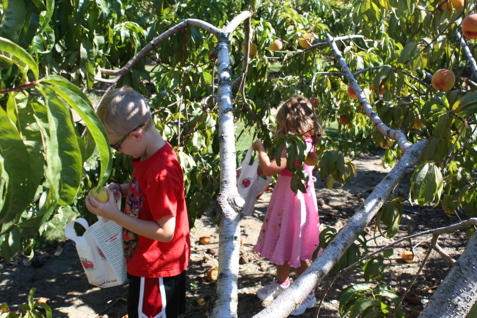 Superheroes and Princesses Peaches