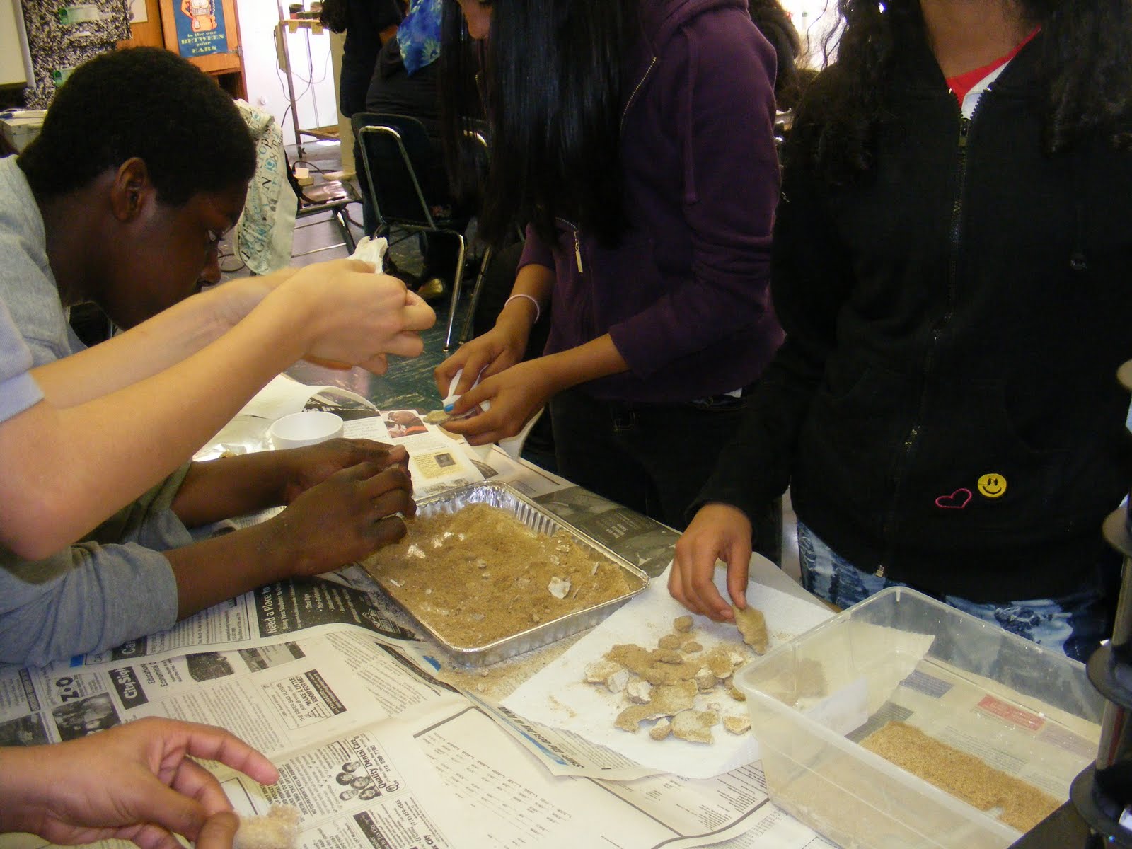 Science Mecca 20092010 7th grade Lab How do Fossils form?