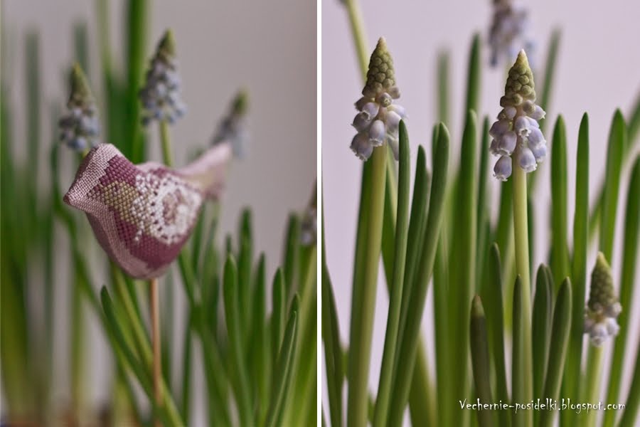 [птичка13.jpg]