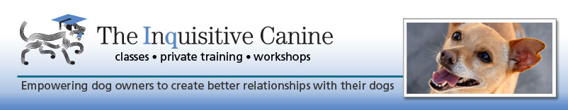 Dog Training and Coaching Tips : Ventura and Santa Barbara