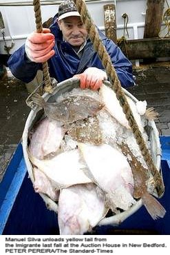 [Pescador+da+Cova+Gala+em+Newbedford.JPG]