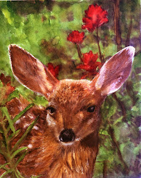 deer watercolor wildlife painting artist artists zorad jo mary washington