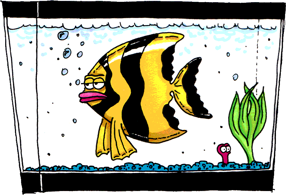 free clipart fish tank - photo #15