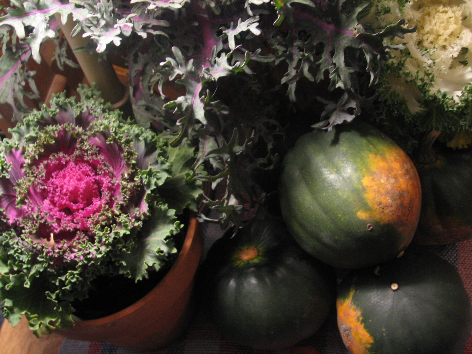 From Cedar Pond to Laughing Dove Farm : Whole Roasted Cricket Ball