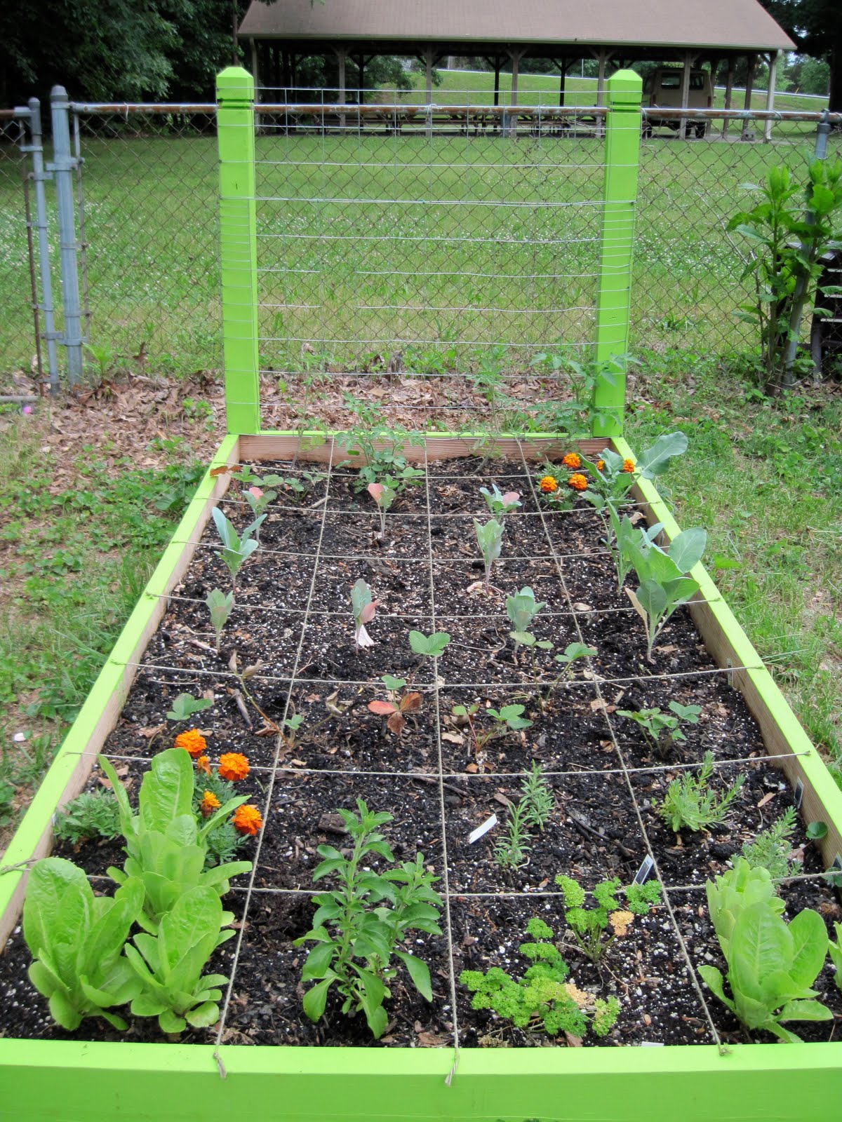 The Genet Family Blog: Square Foot Garden 2010