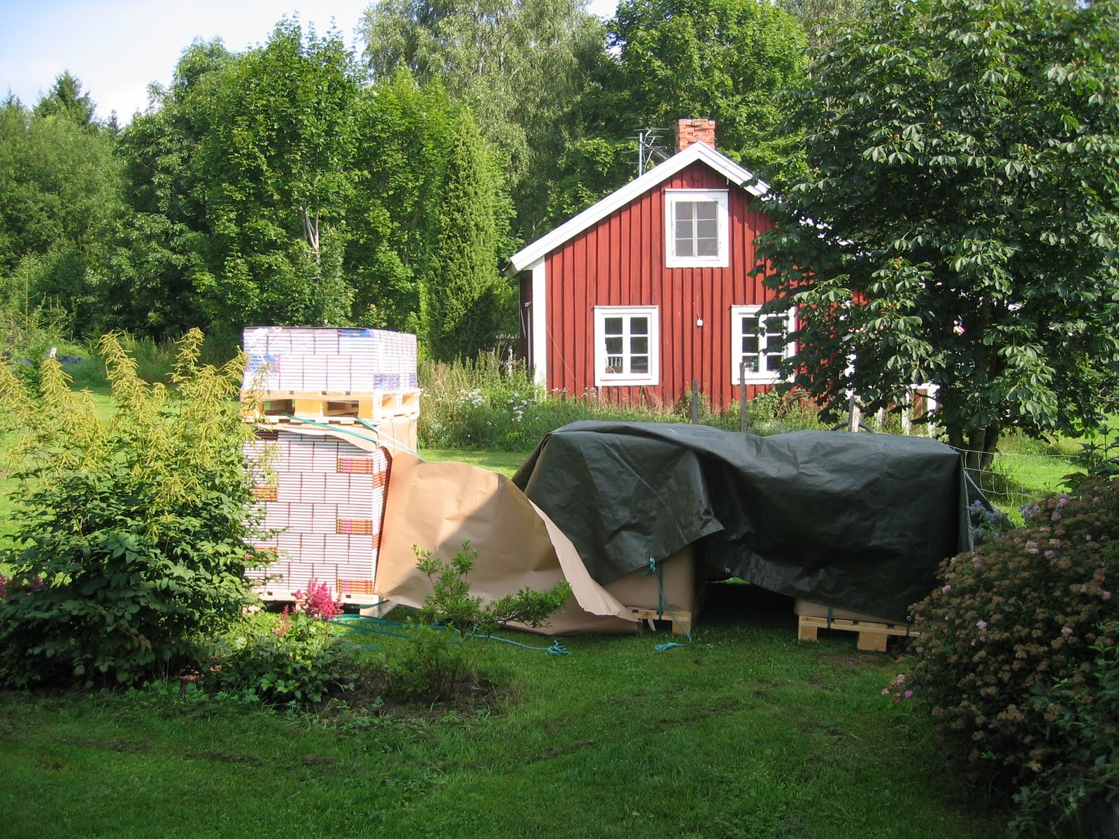 [IMG_0814.JPG]