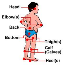 Free Shipping Meridian model human acupuncture point human