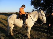 Valentino versión 2010