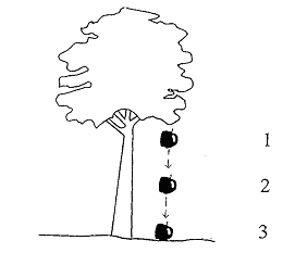 Apple gravity homework 08 picture