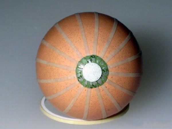 [egg_07.jpg]