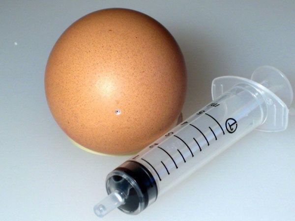 [egg_03.jpg]
